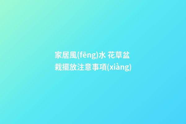 家居風(fēng)水 花草盆栽擺放注意事項(xiàng)